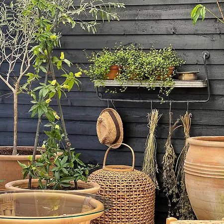 ホテル Blomme's Place Snogebæk